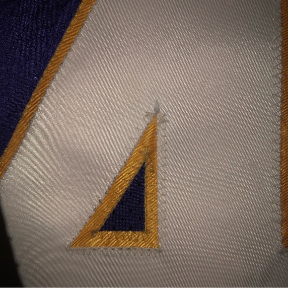 Wilcots Vikings Jersey - Picture 5 of 8